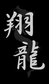 佐野ラーメン　翔龍